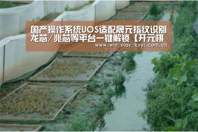 开元棋牌网站app